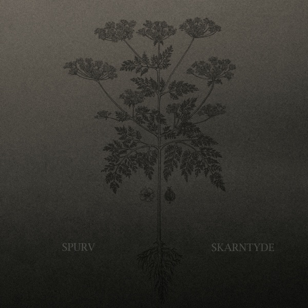 Skarntyde album cover