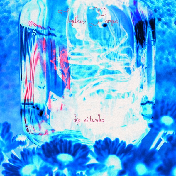 DYE (Extended) album cover