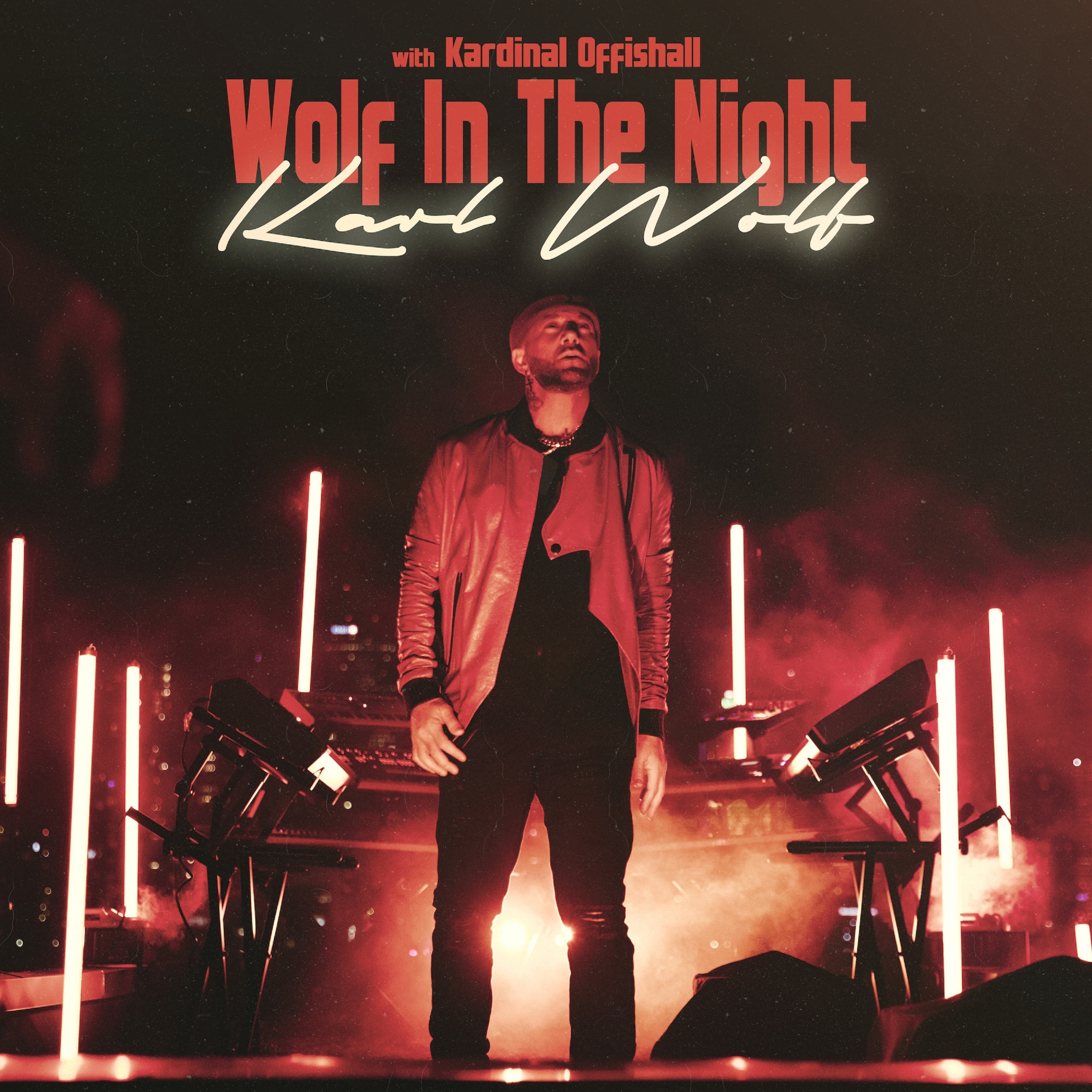 Wolf In The Night - Single album cover