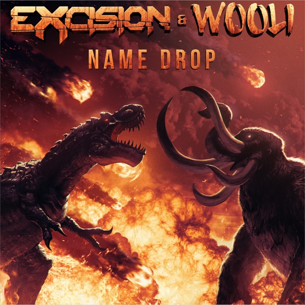 Name Drop - Single album cover