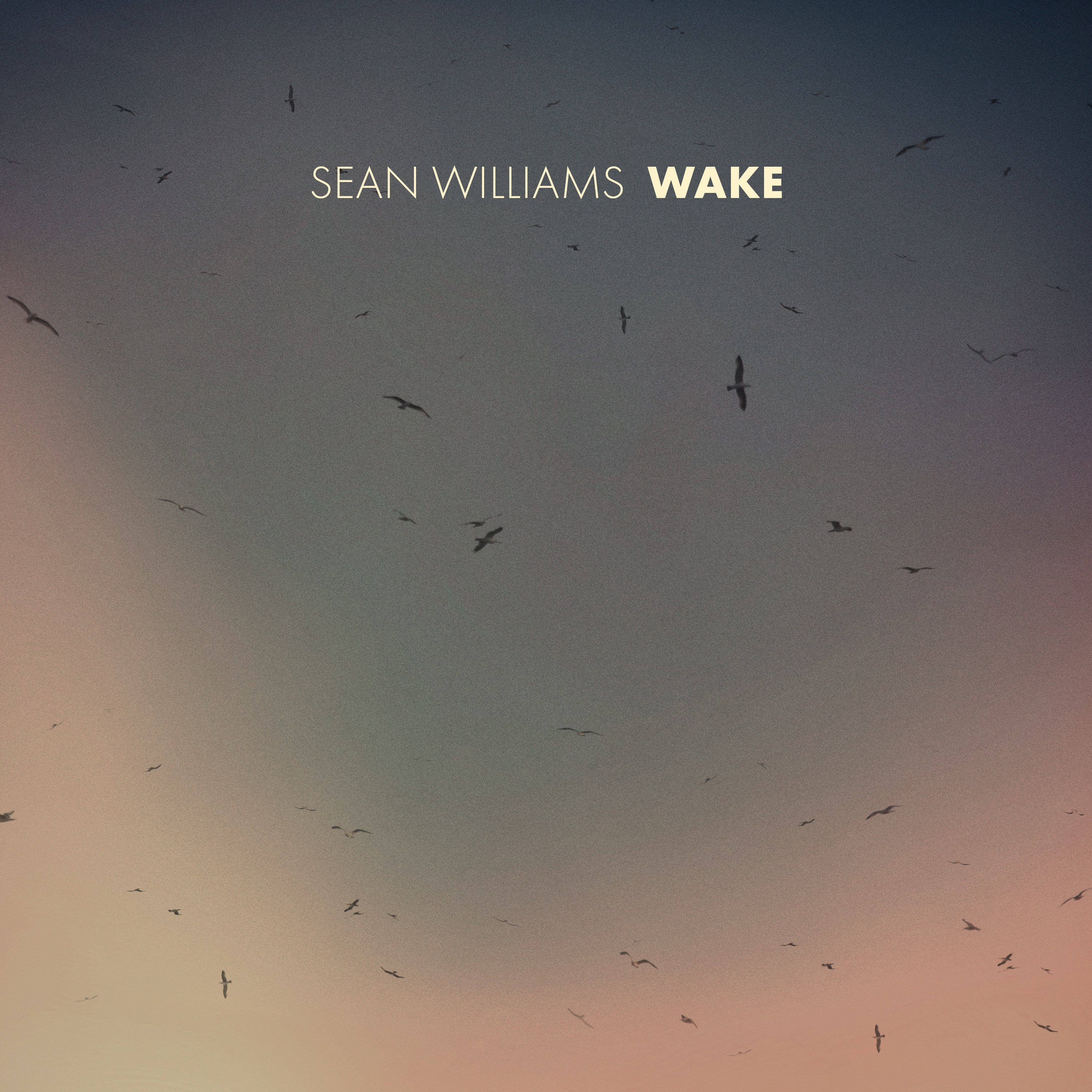 Wake - Single album cover