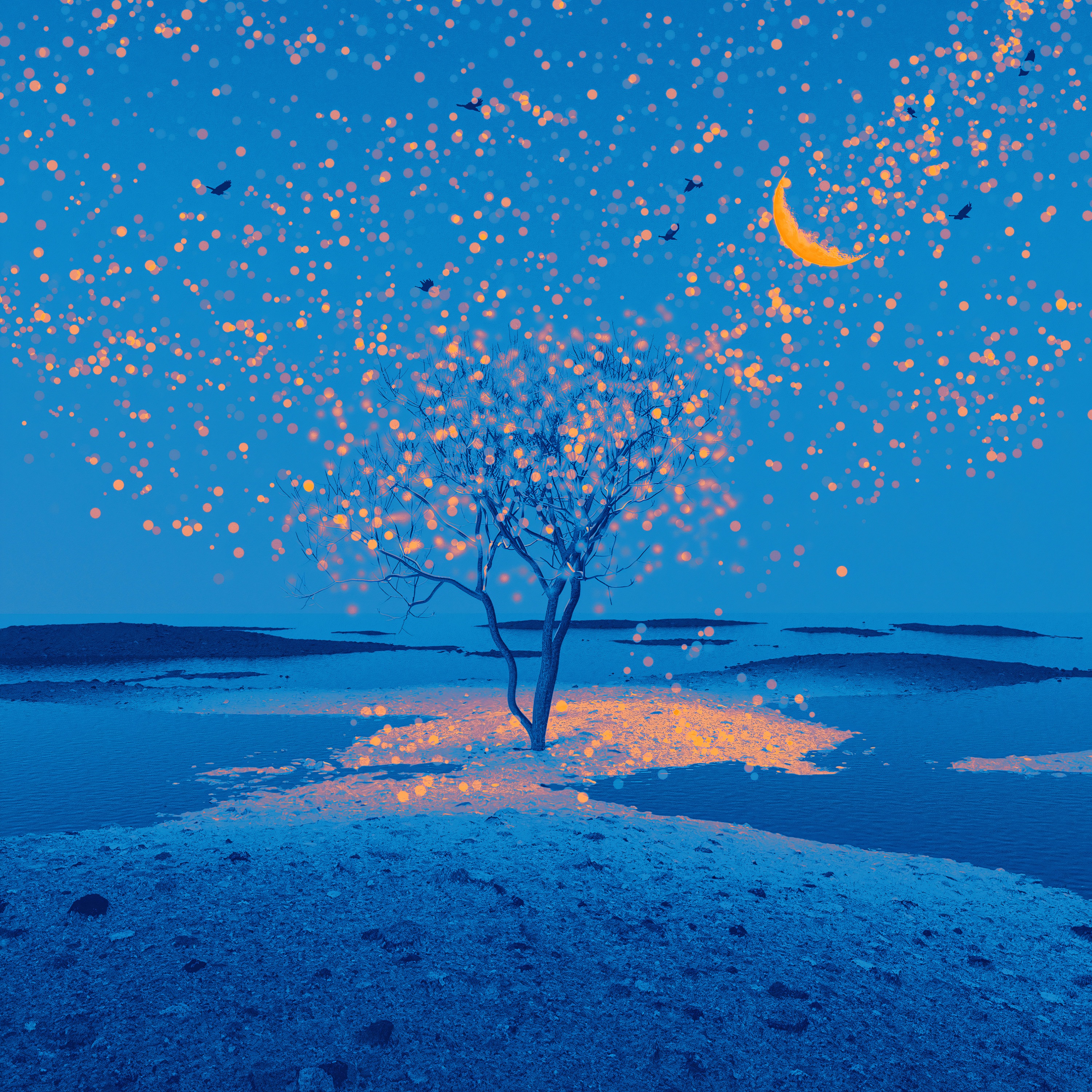 Stories From the Sea album cover