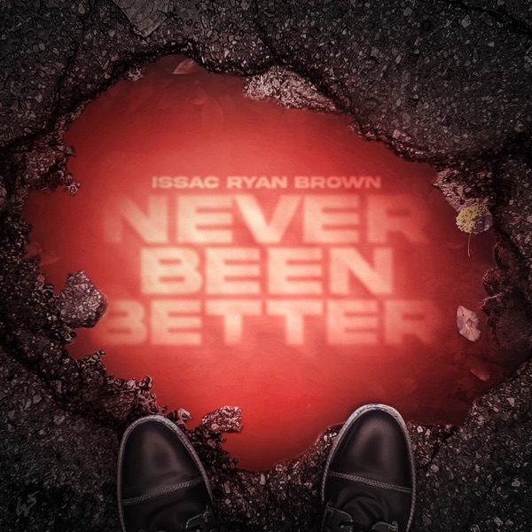 Never Been Better - Single album cover