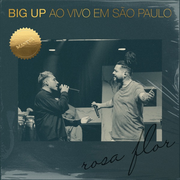 Rosa Flor (Ao Vivo) - Single album cover