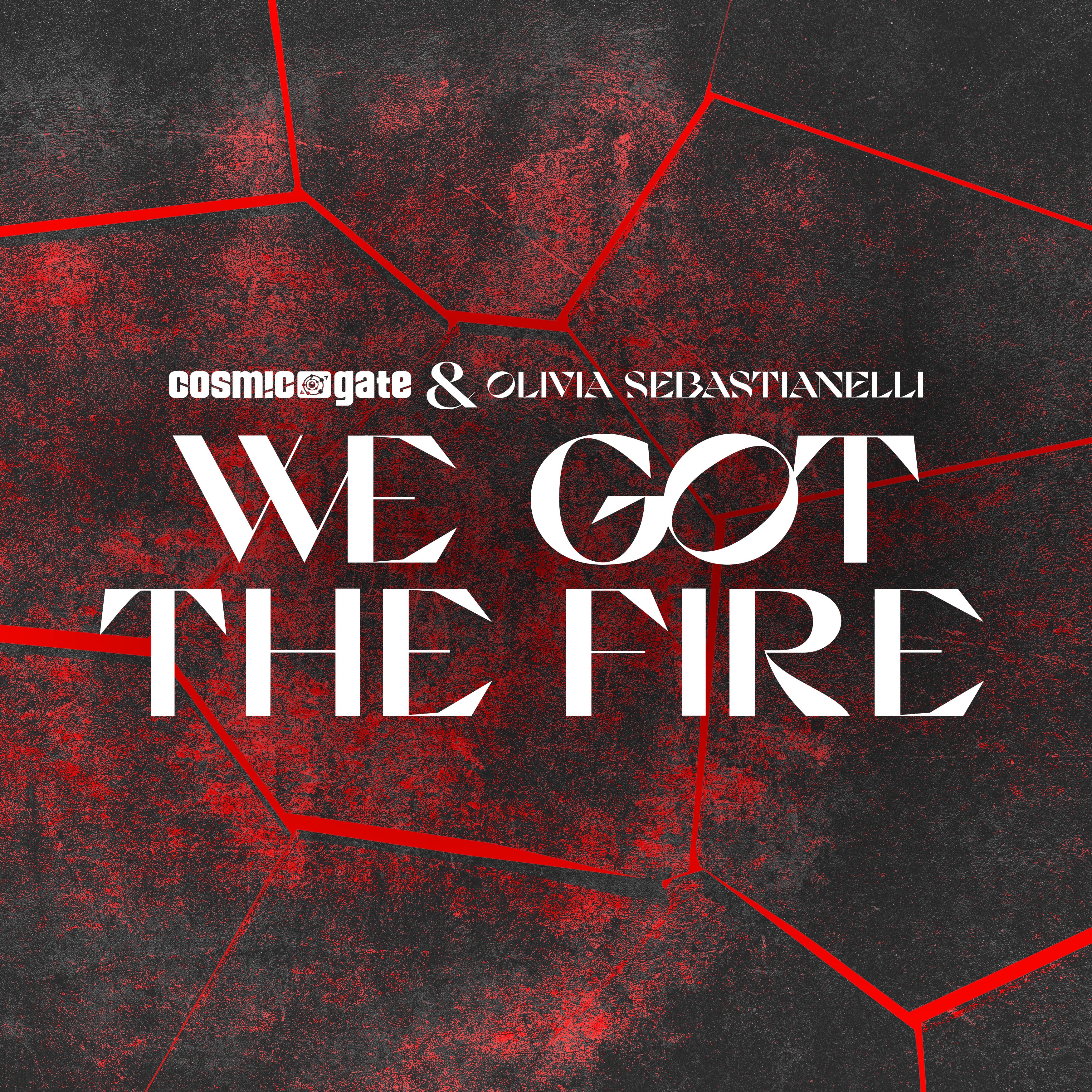 We Got the Fire - Single album cover
