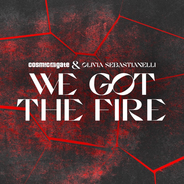 We Got the Fire - Single album cover