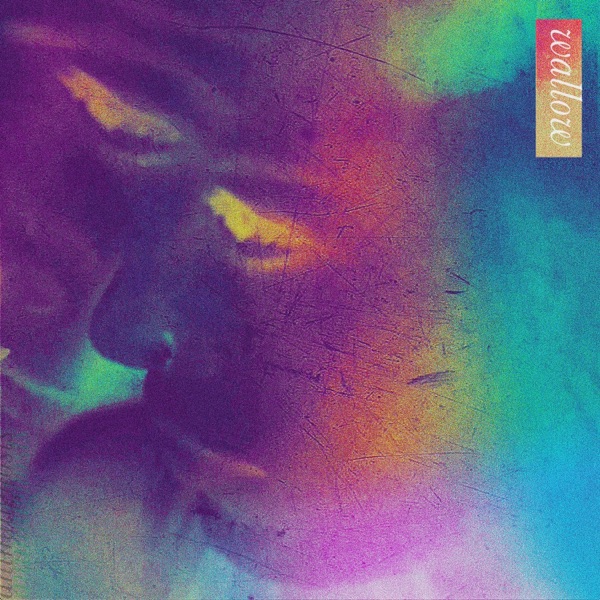 Wallow album cover