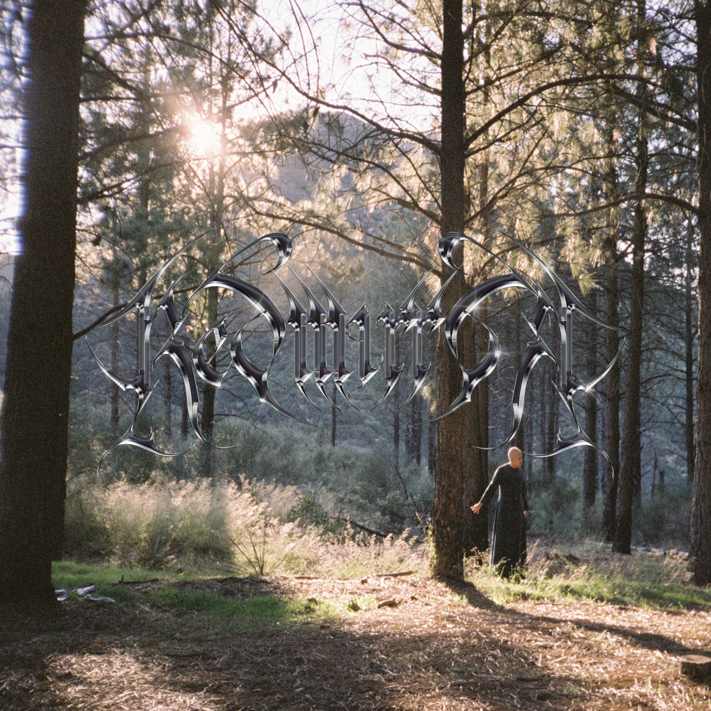 Dreamwalk - Single album cover