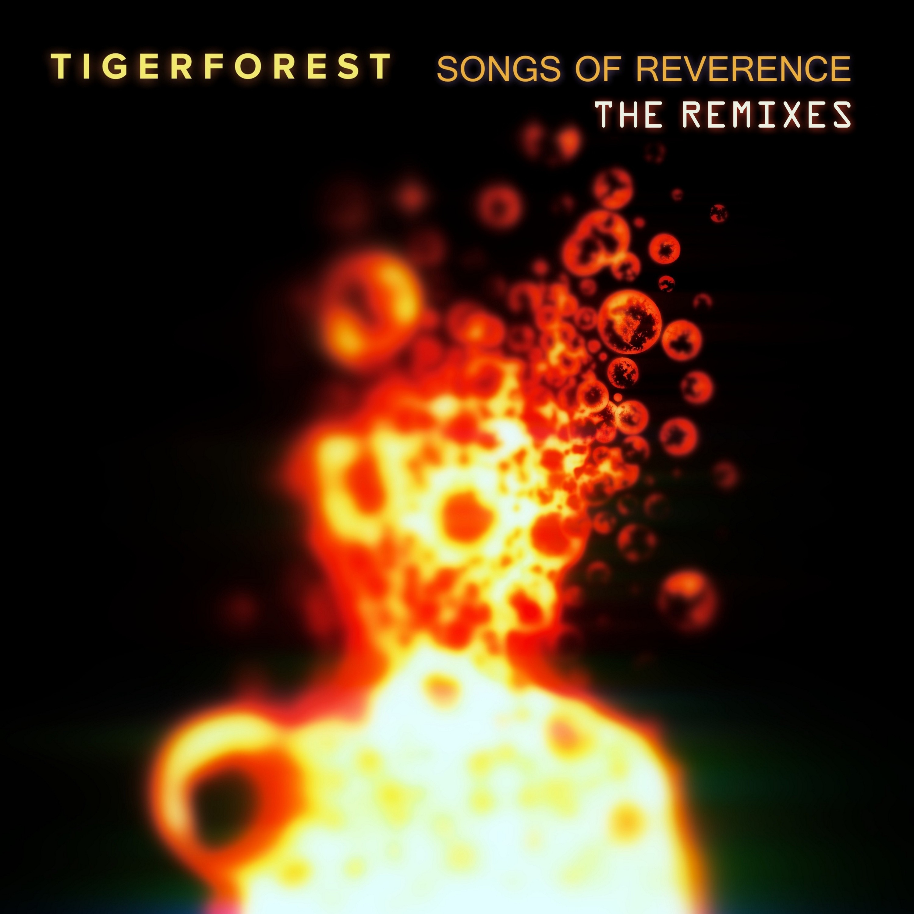 Songs of Reverence (The Remixes) album cover