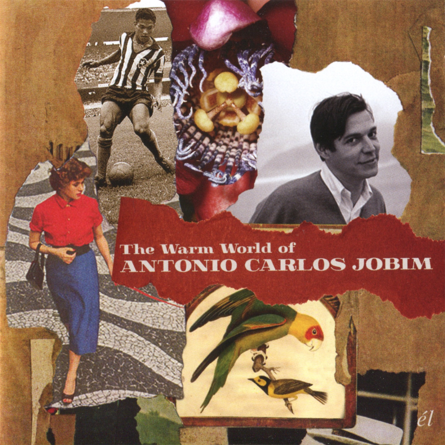 The Warm World Of Antonio Carlos Jobim album cover