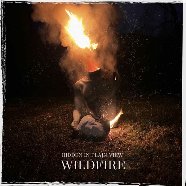 Wildfire - Single album cover