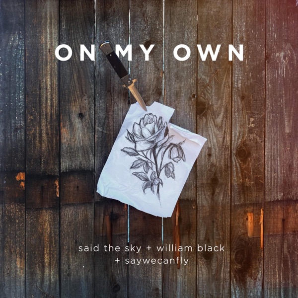 On My Own - Single album cover