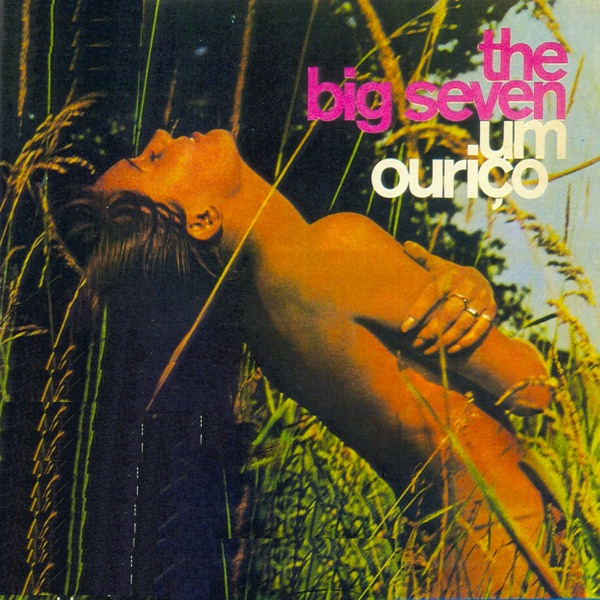 Um Ouriço (feat. Renato e Seus Blue Caps & The Fevers) album cover