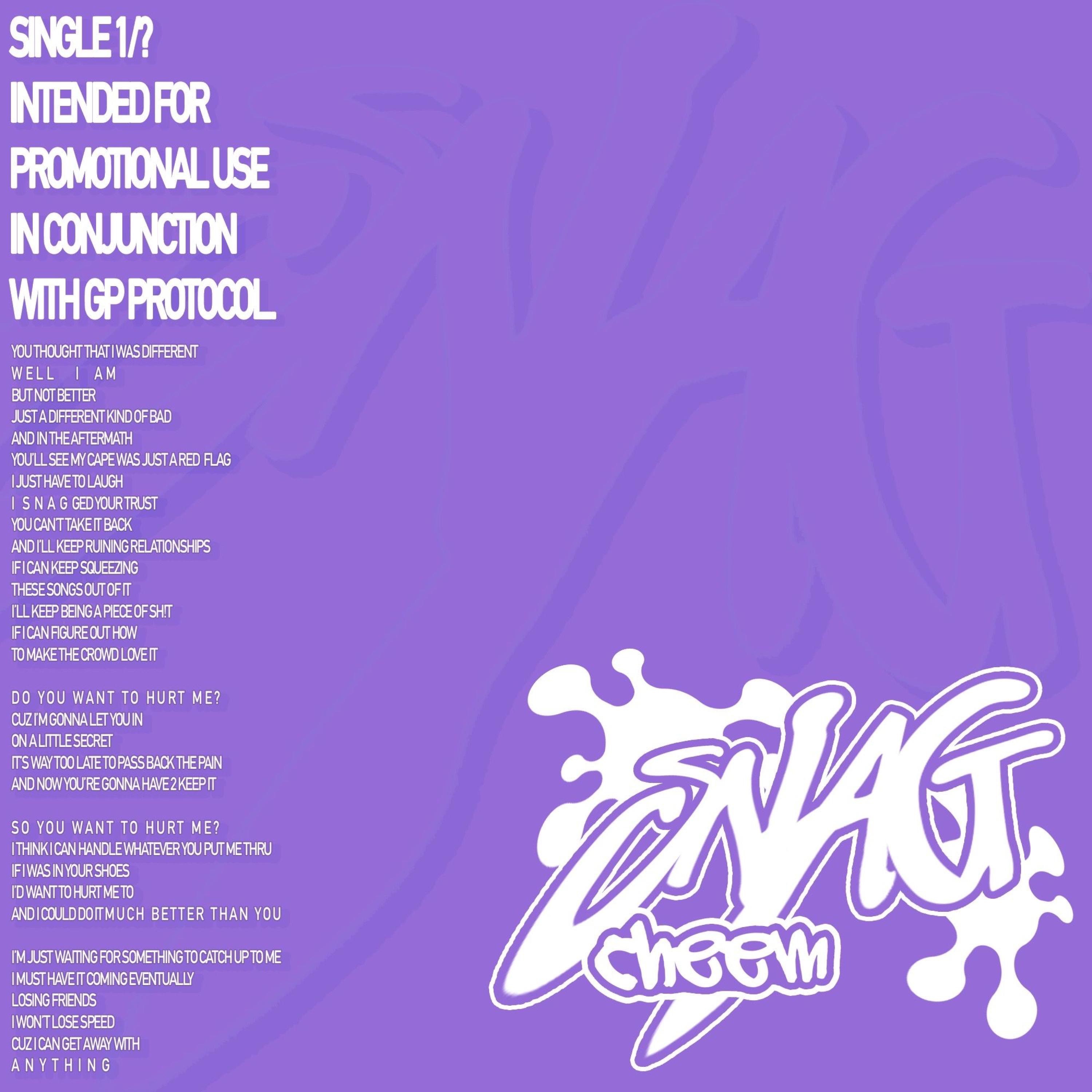 Snag - Single album cover