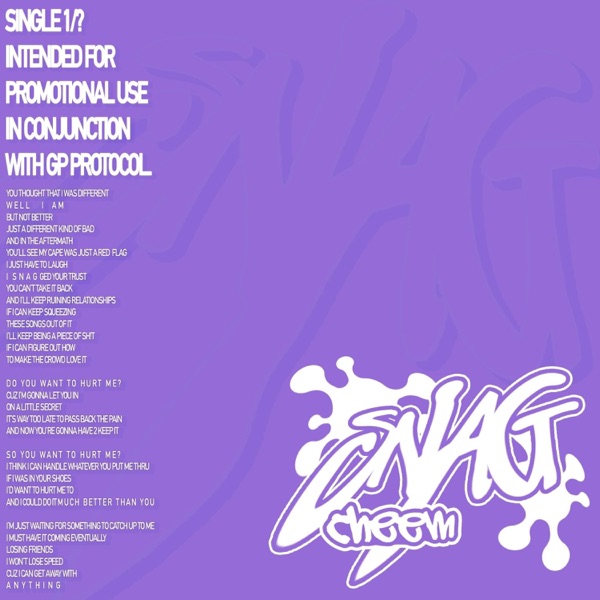Snag - Single album cover