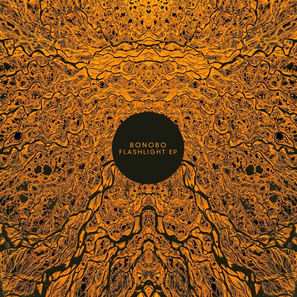 Flashlight - Single album cover