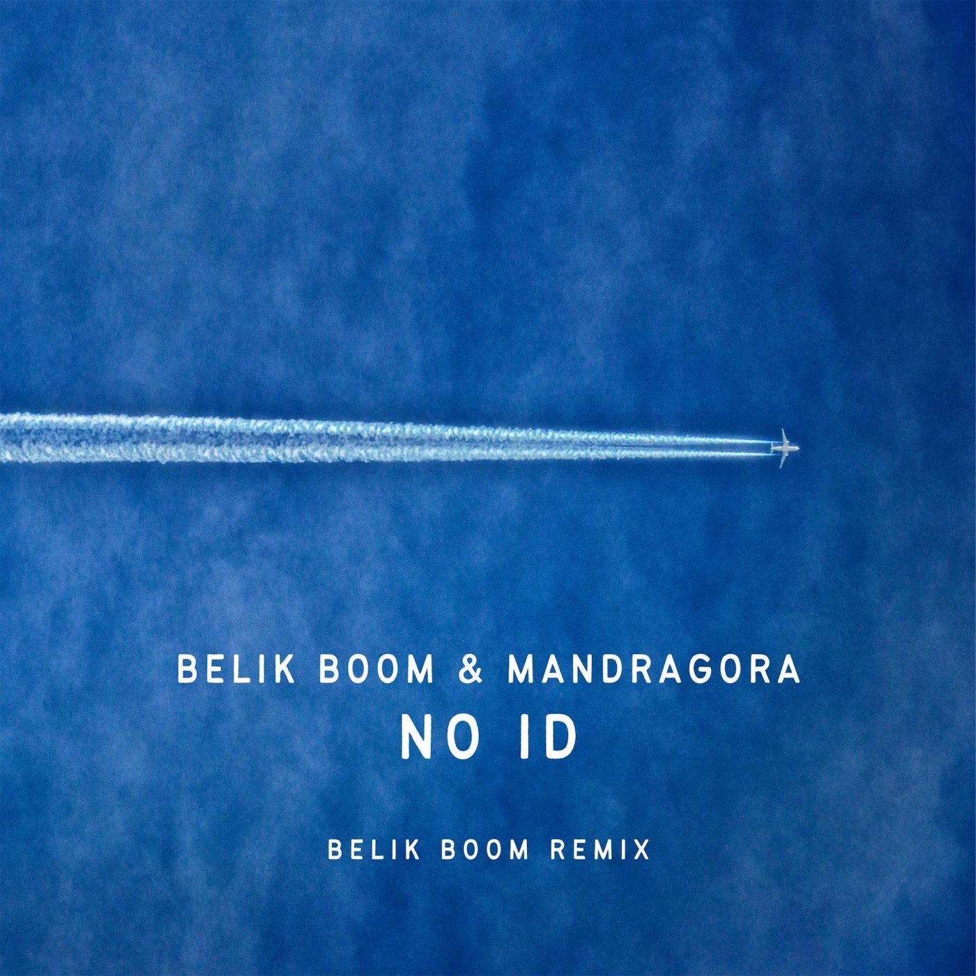 No ID - Single album cover