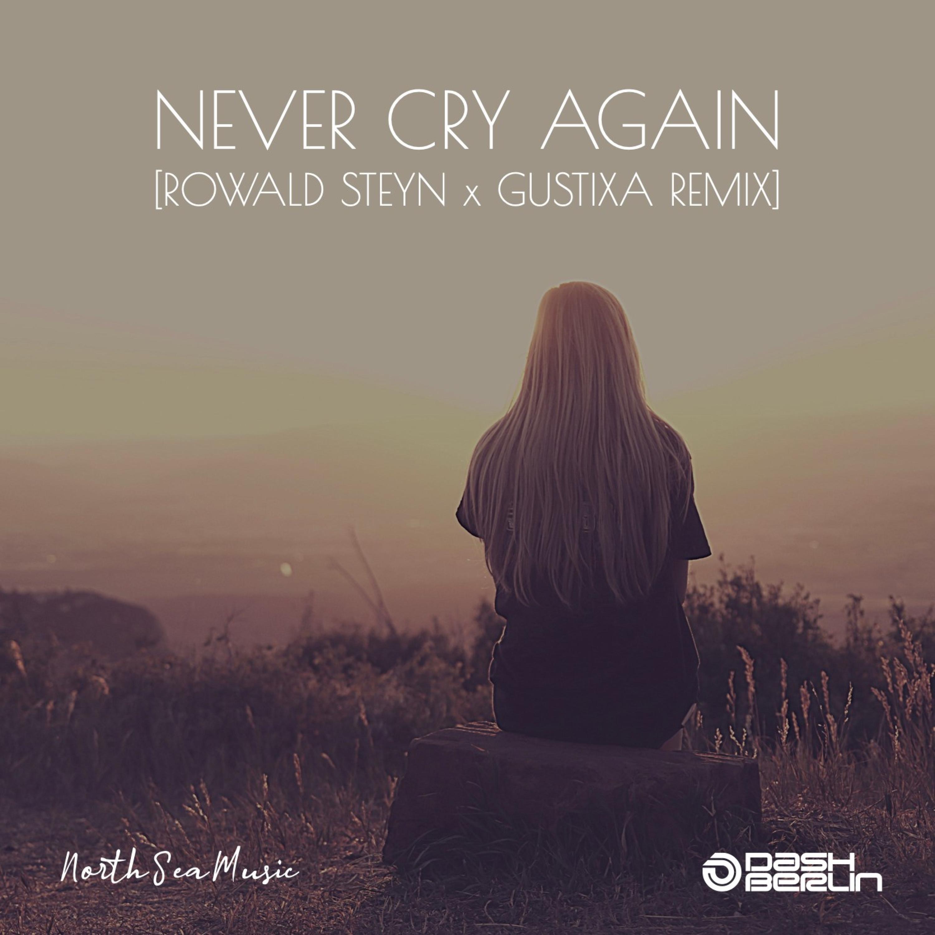 Never Cry Again (Rowald Steyn & Gustixa Remix) - Single album cover