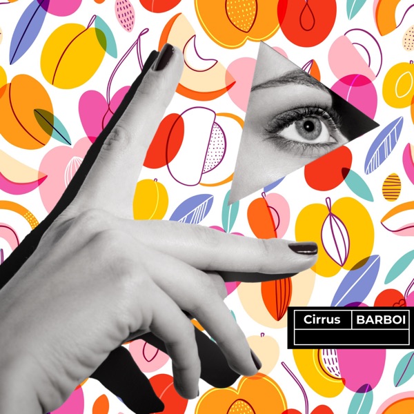 Barboi - Single album cover