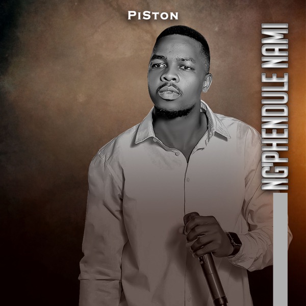 Ng'phendule Nami (Radio Edit) - Single album cover