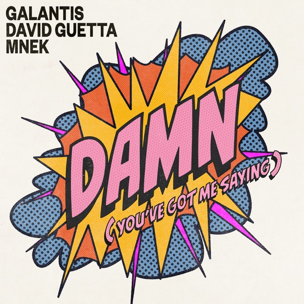 Damn (You’ve Got Me Saying) - Single album cover
