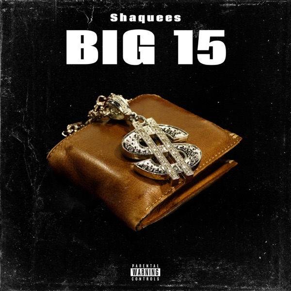 Big 15 (feat. Murda Beatz) - Single album cover