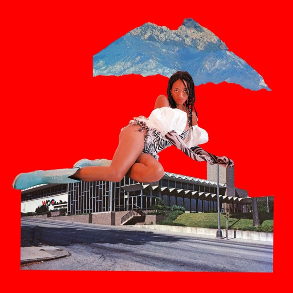 NO APOLOGY! - Single album cover