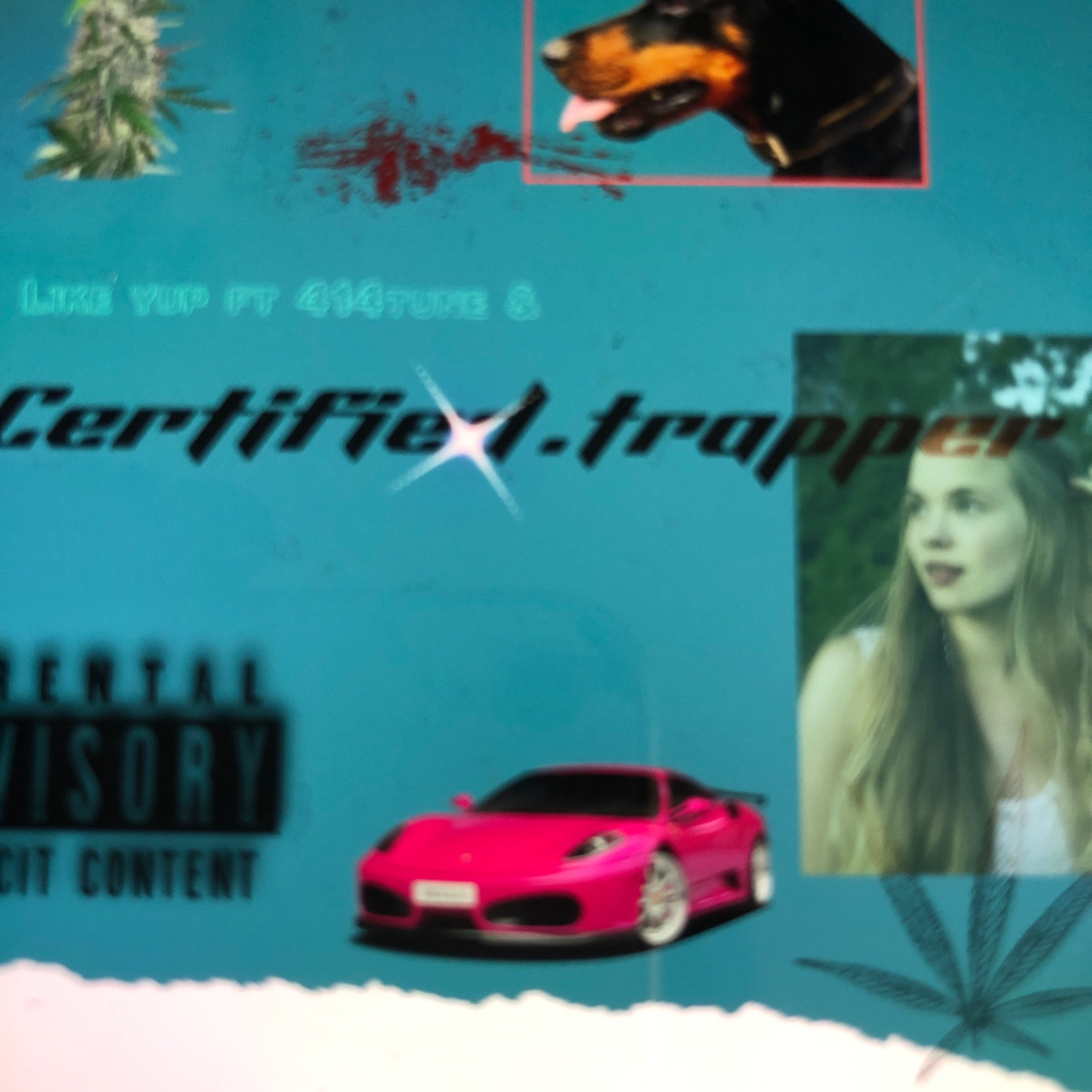 Like Yup (feat. Certified trapper) - Single album cover