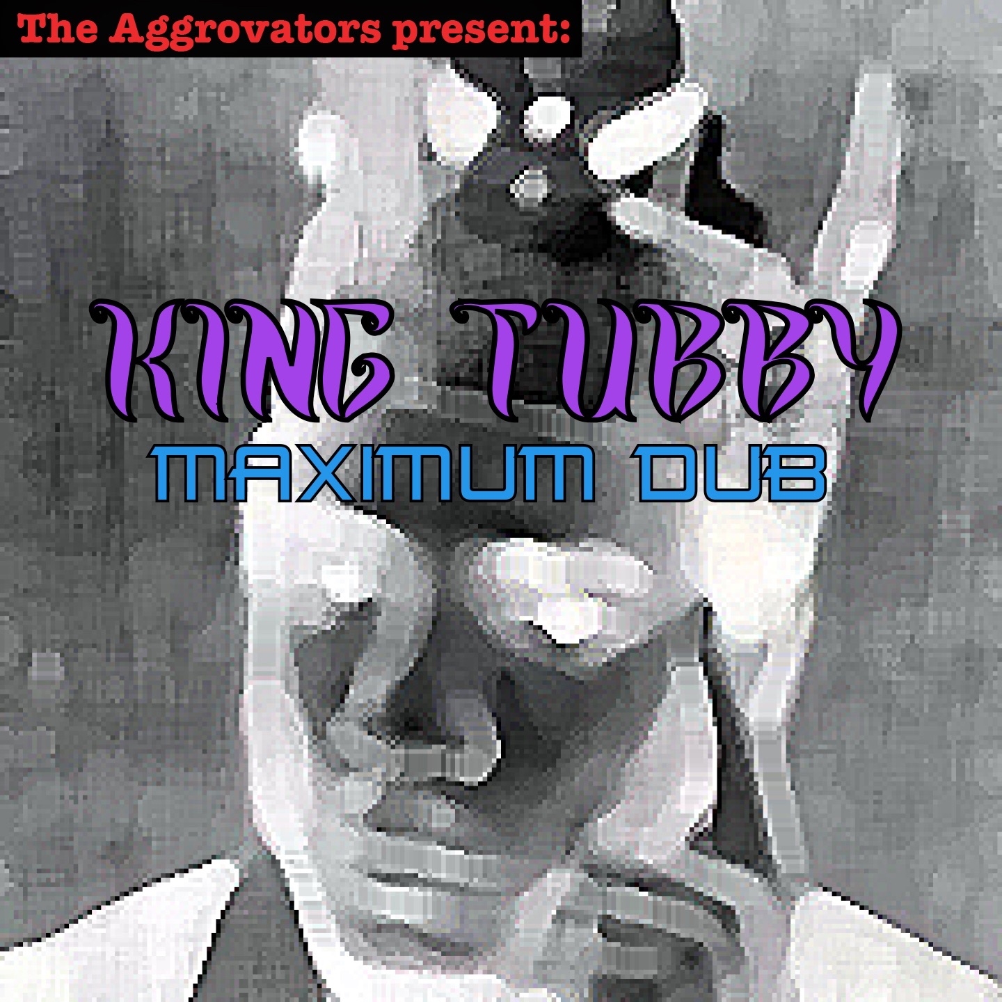 Maximum Dub album cover