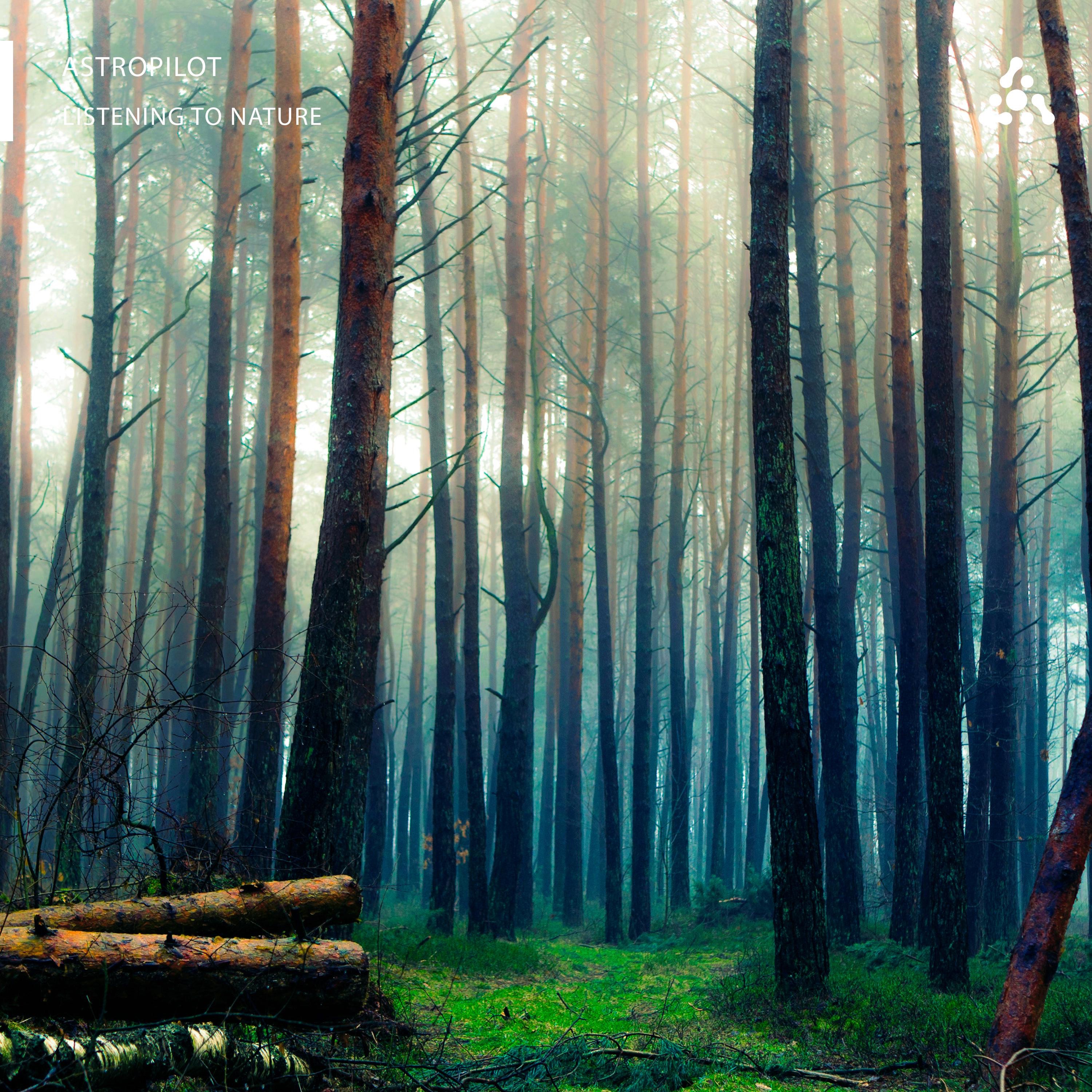 Listening to Nature album cover