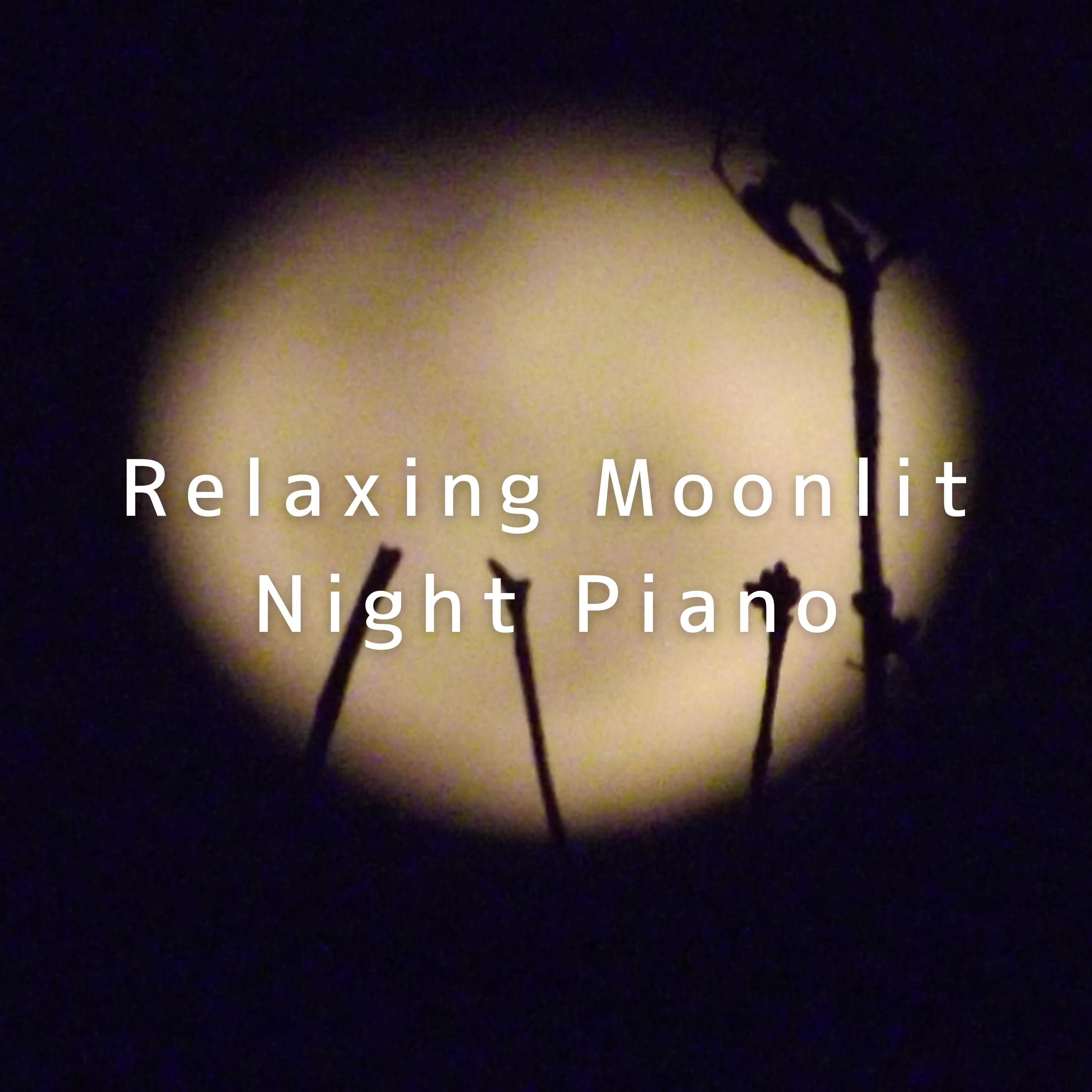 Relaxing Moonlit Night Piano album cover