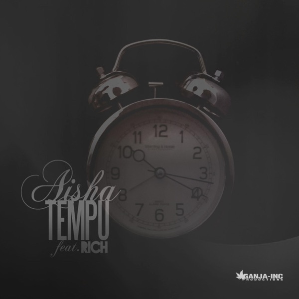 Tempu (feat. Rich) - Single album cover