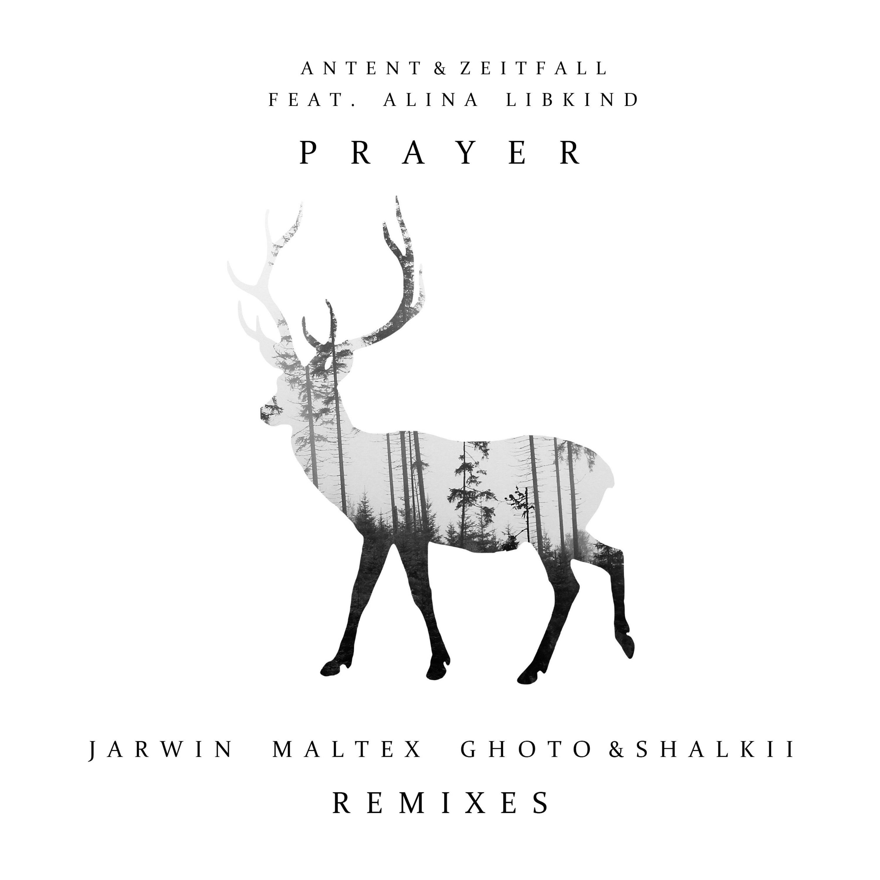 Prayer (feat. Alina Libkind) [Remixes] - Single album cover