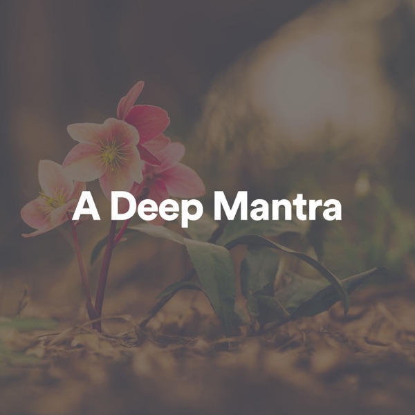 A Deep Mantra album cover