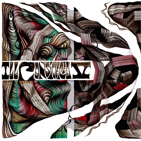 Ill Considered V album cover