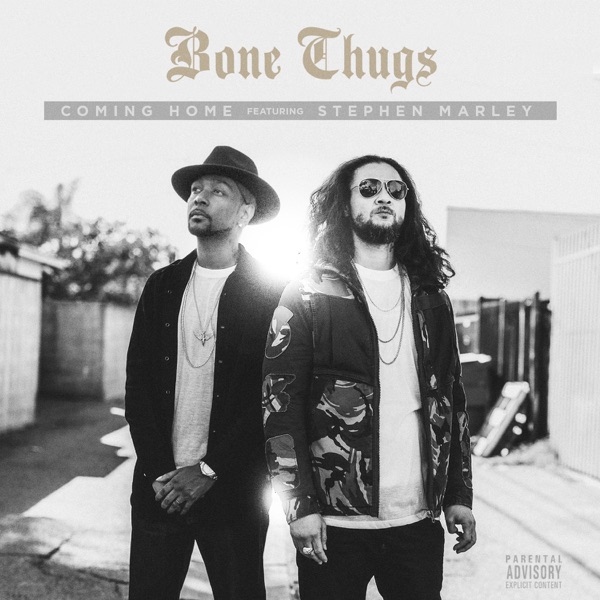 Coming Home (feat. Stephen Marley) - Single album cover