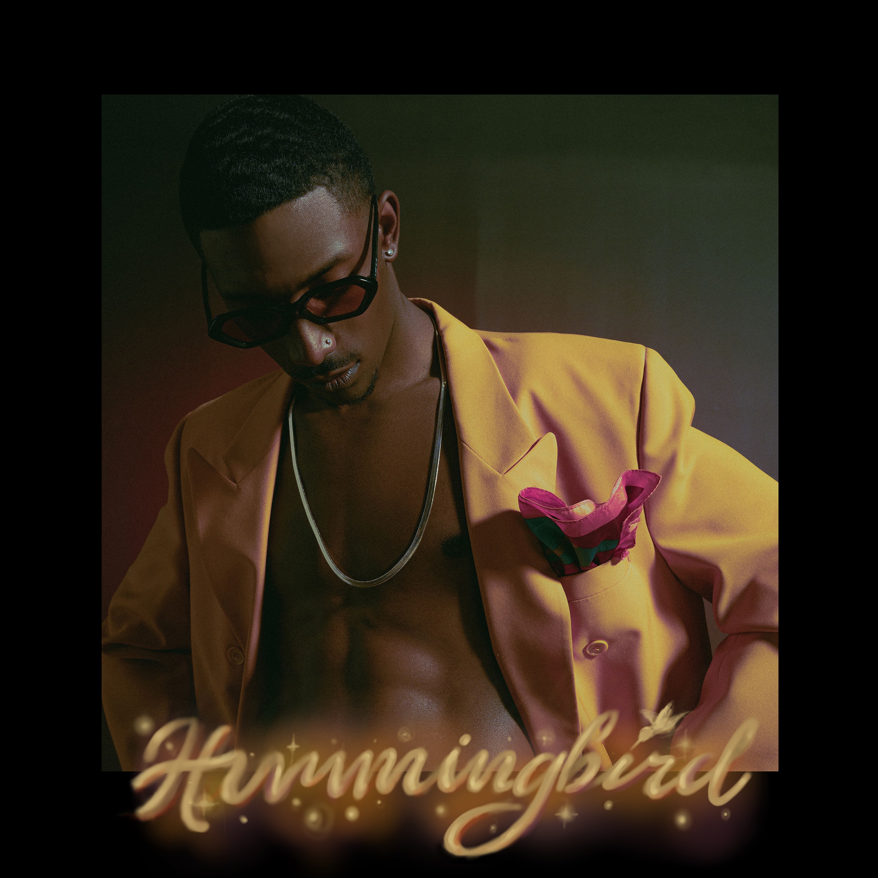 Hummingbird album cover