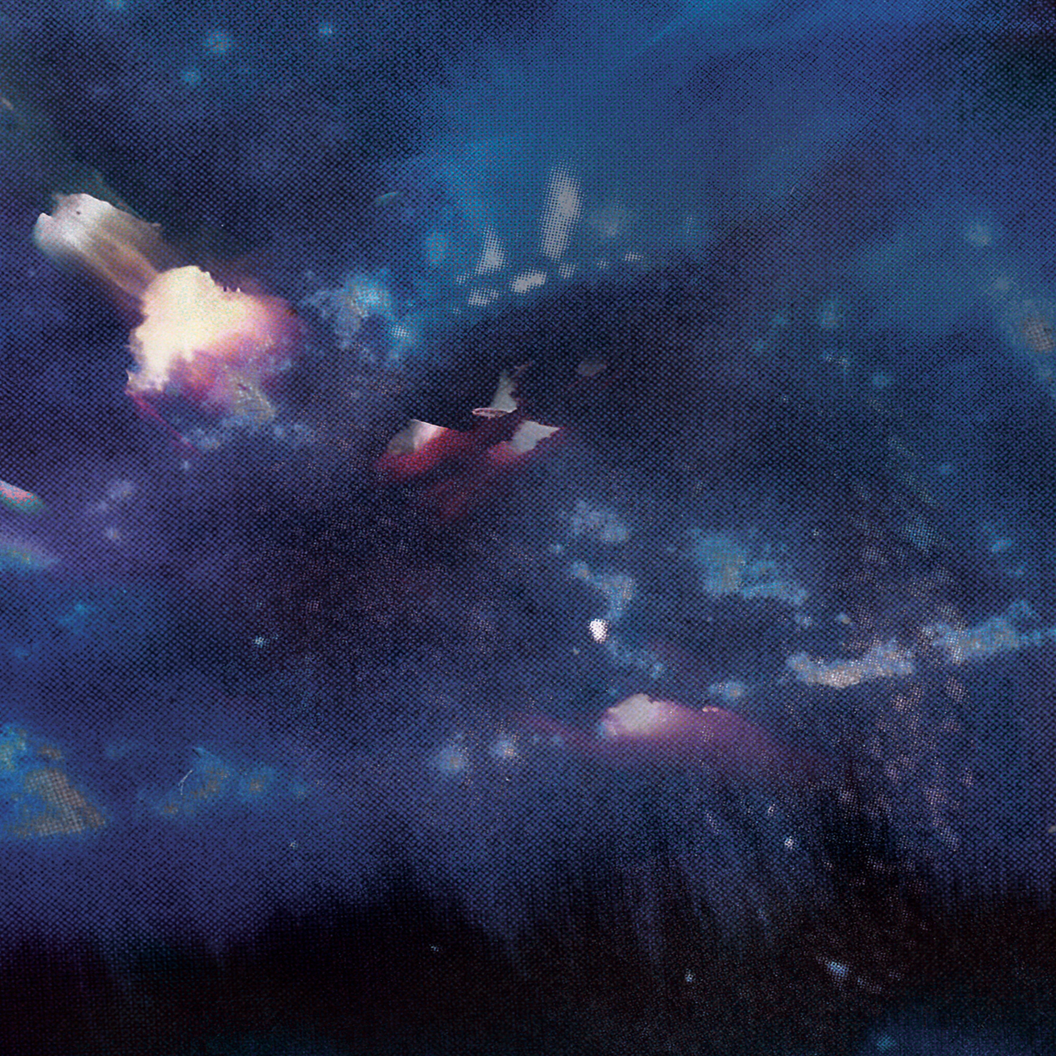 Citrus - Single album cover