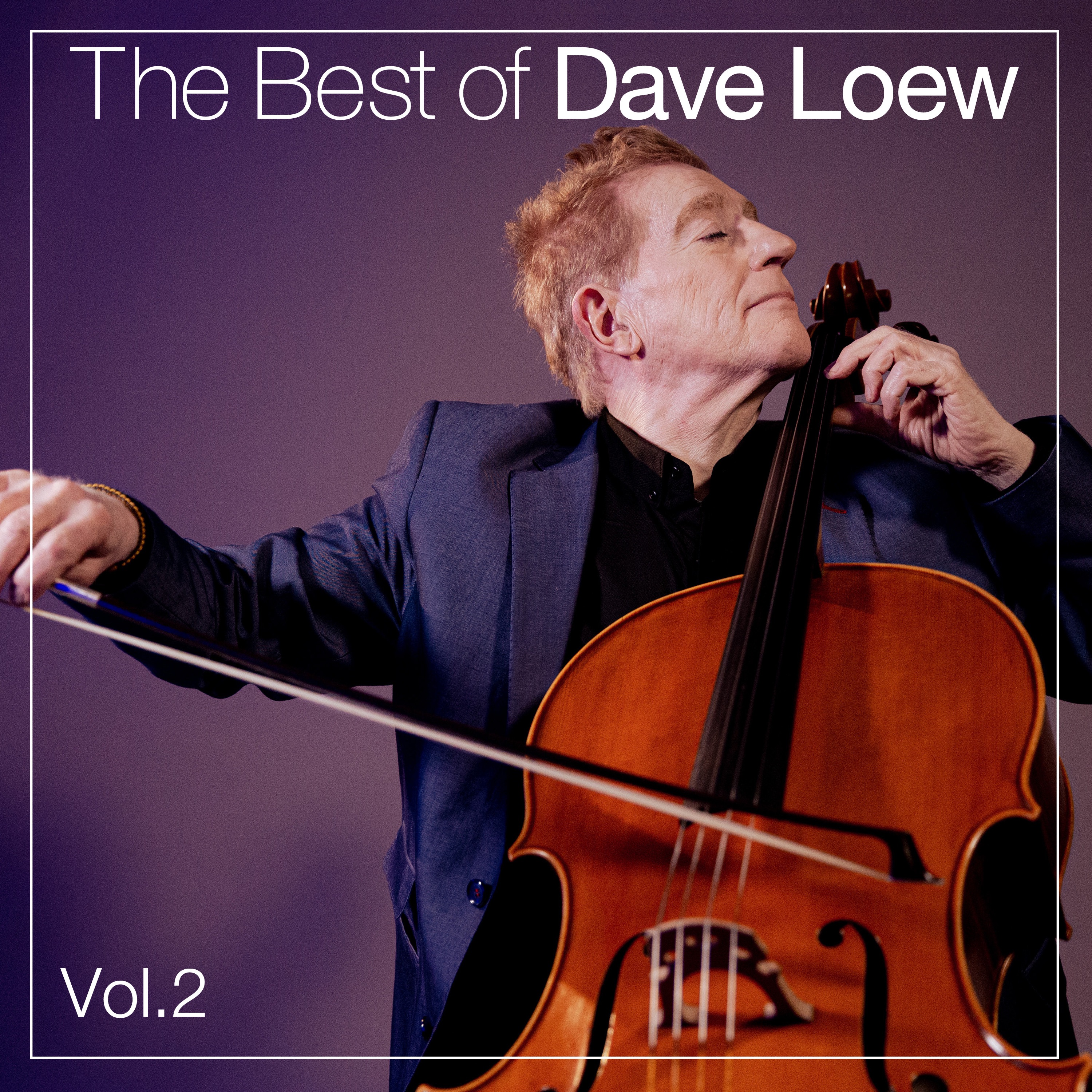 The Best of Dave Loew, Vol. 2 album cover