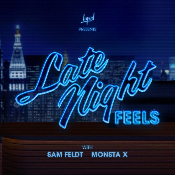 Late Night Feels - Single album cover