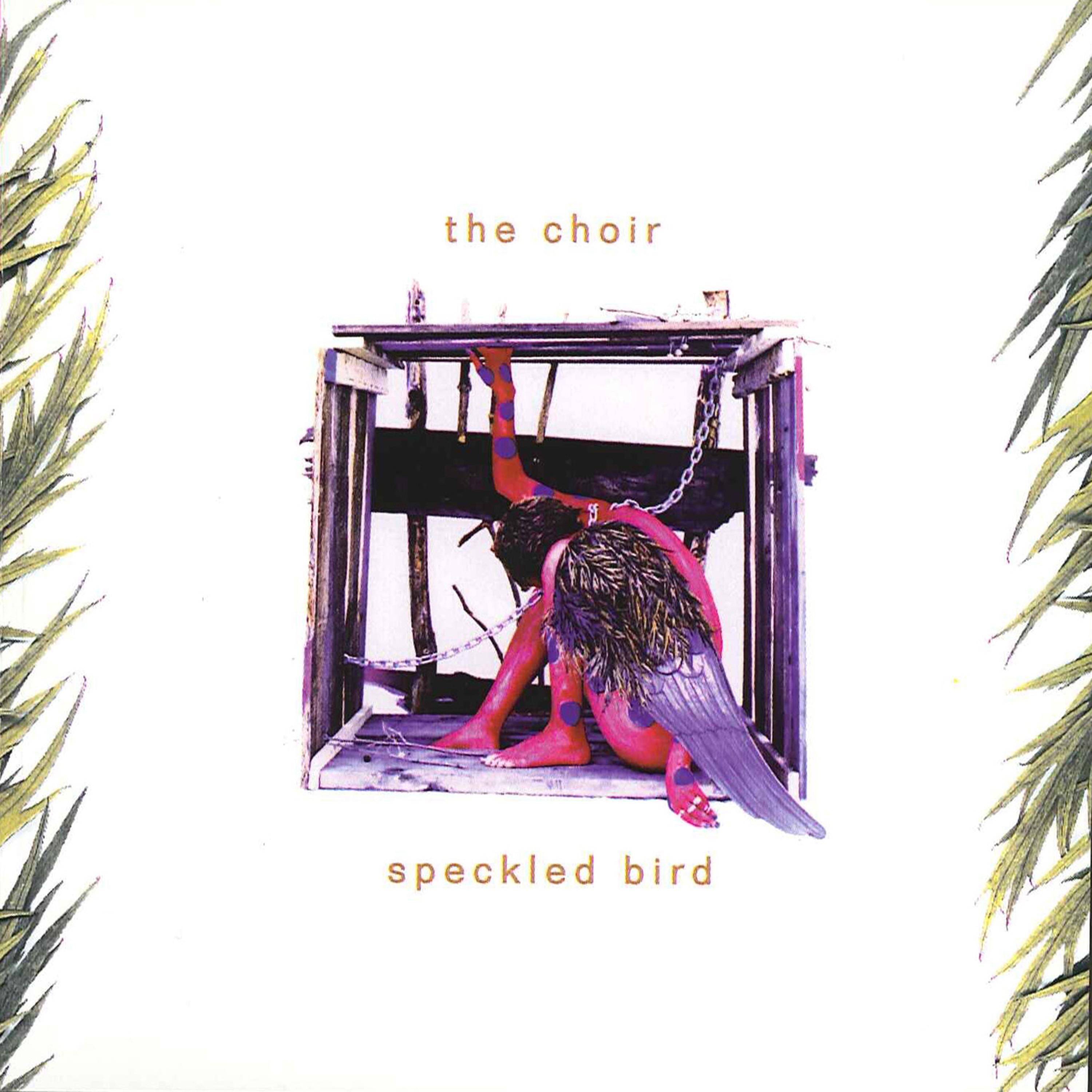 Speckled Bird album cover