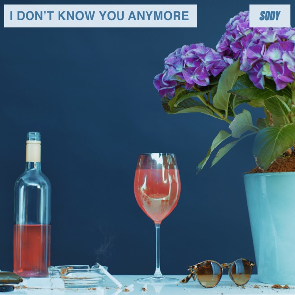 I Don't Know You Anymore (demo) - Single album cover