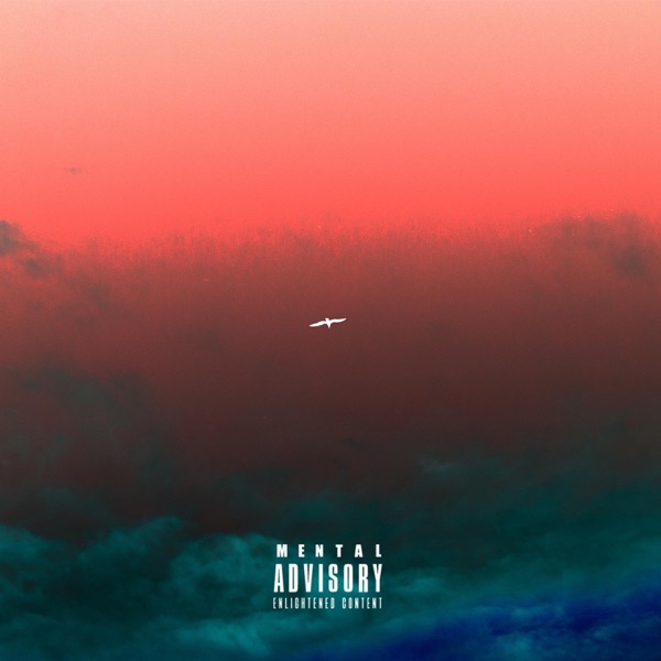 Never Come Down - Single album cover