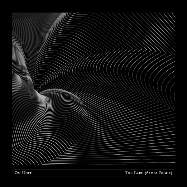 The Lake (Samba Remix) - Single album cover