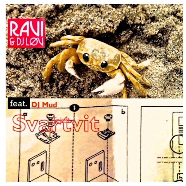Svartvit (feat. Mudman) - Single album cover