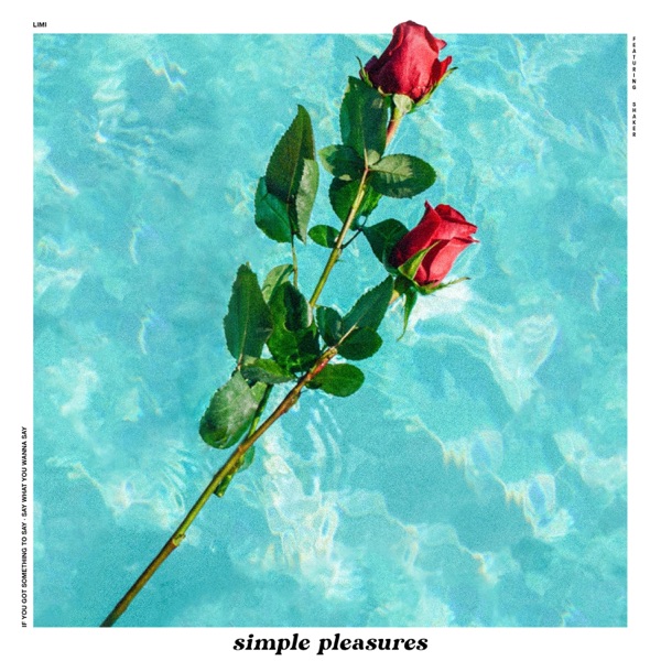 Simple Pleasures (feat. Shaker) - Single album cover