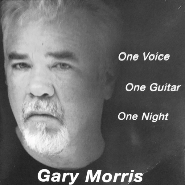 One Voice, One Guitar, One Night album cover