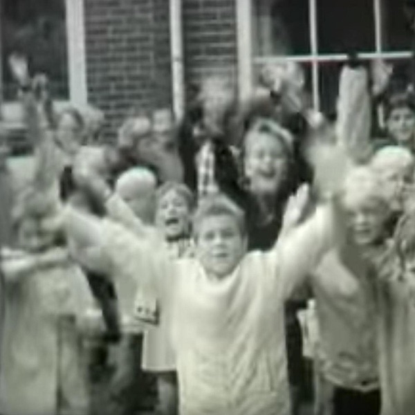 Dwingeloo Life Extension album cover