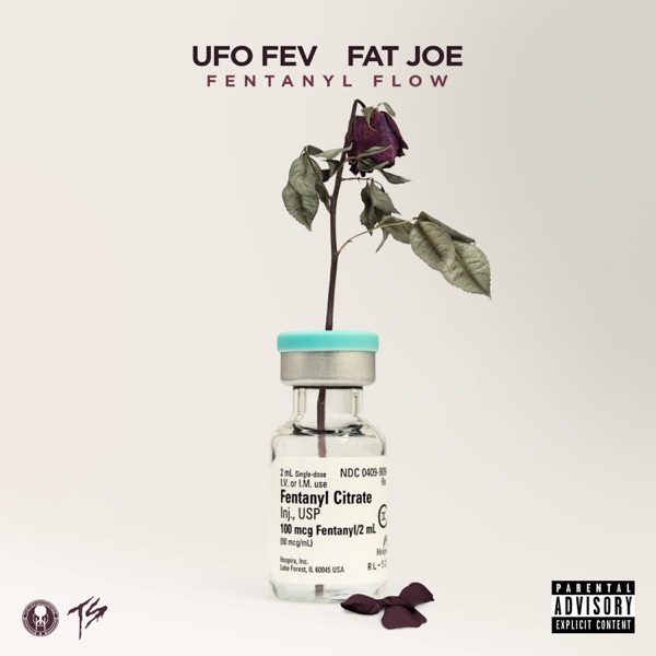 Fentanyl Flow (feat. Fat Joe) - Single album cover