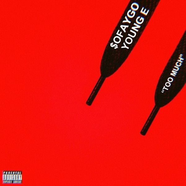 Too Much! (feat. $ofaygo) - Single album cover